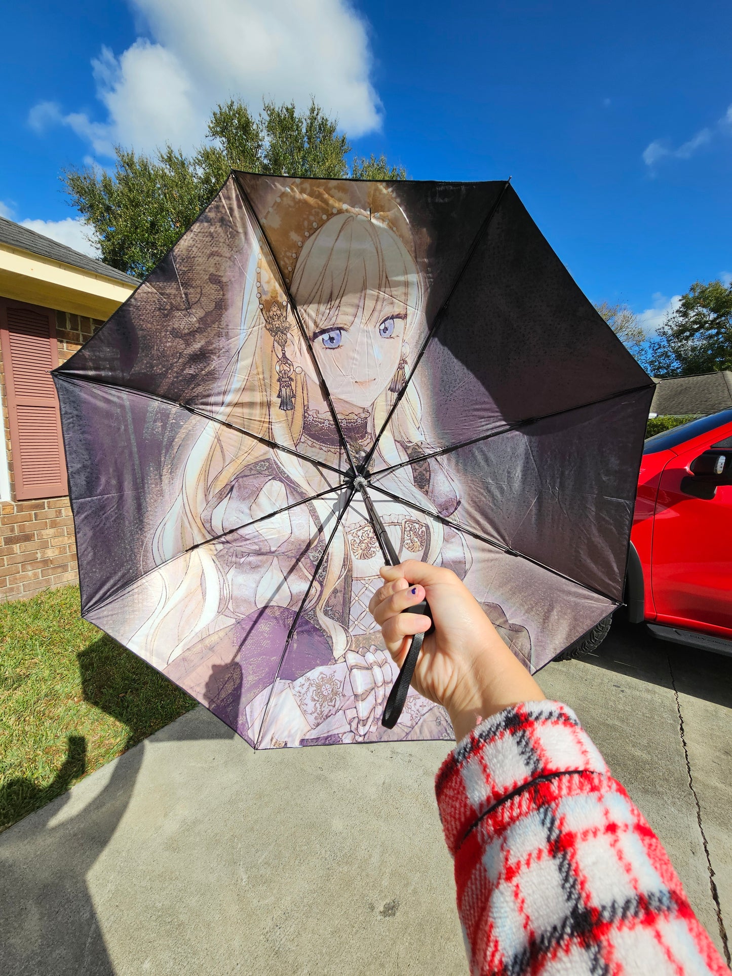 Lord and Lady Umbrellas!